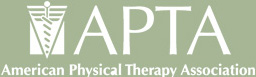 American Society of Hand Therapists